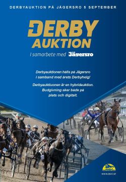 DerbyauktionskatalogbildMellan