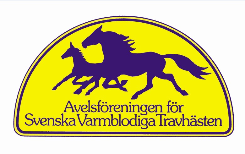 Inbjudan till nätverksträff