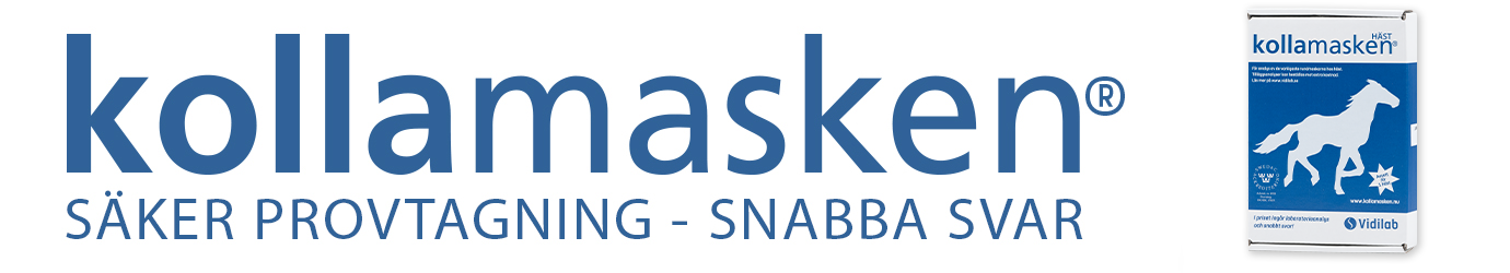 KollaMasken - Startsida Liggande