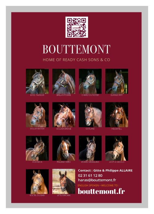 Annons Haras de Bouttemont