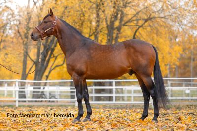 Dancinginthedark M up