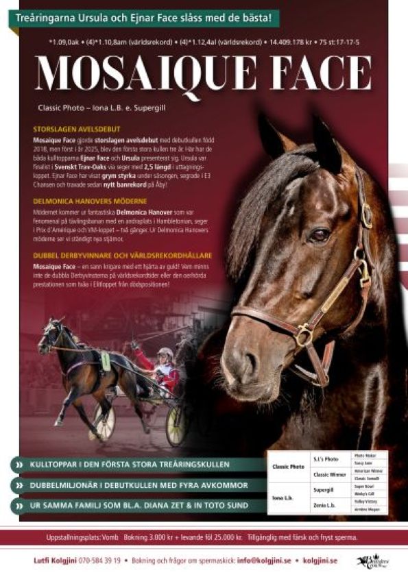 Mosaique Face annons